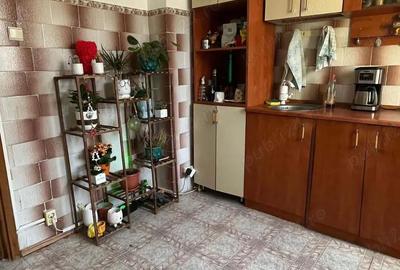 Apartament cu 2 camere decomandat în Ozana - 6