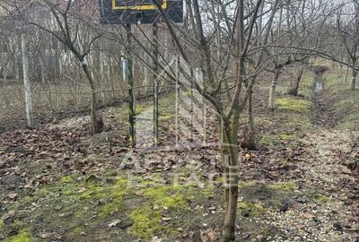 Casa individuala in vatra satului Ghiroda ,teren 1307 mp utili - 18