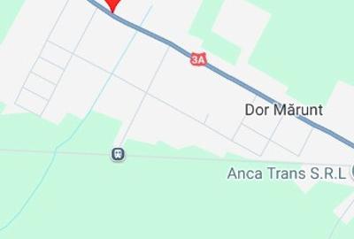 Calarasi Dor Marunt, casa 4 camere din caramida, 2550 mp - 4