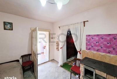 Casă cu 1 camere cu Teren 2676 Mp în Șimian - 10