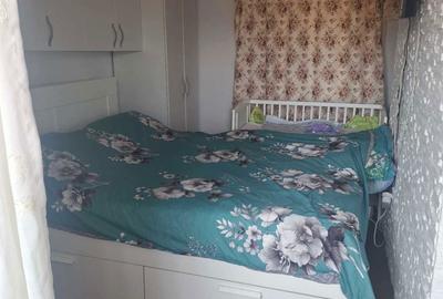 Apartament cu 2 camere decomandat în Gura Râului - 7