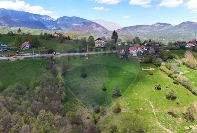 Teren de 5694 mp, în Moieciu - 2