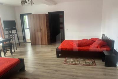 Vanzare pensiune intr-o zona superba din Poiana Negrii - 8