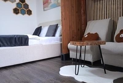 Garsonieră decomandată în Central - 3