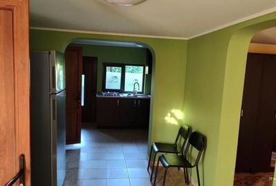 Casă cu 4 camere în Trestioara