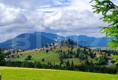Teren de 3936 mp, în Tiha Bârgăului - 2