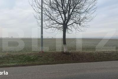 Teren de 5000 mp, în Central
