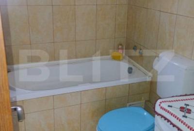 Casă cu 4 camere cu Teren 5450 Mp în Fizeșu Gherlii - 10