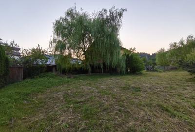 CASA  DE VACANTA - 20