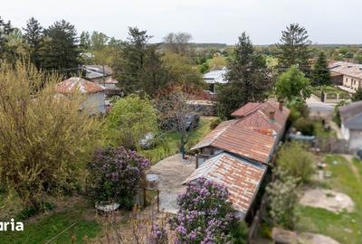 Teren de 6000 mp, în Stănești - 1