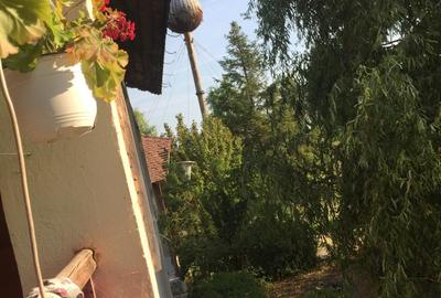 Teren intravilan de 490000 mp, în Iancu Jianu - 12