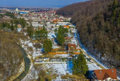 Teren în Bunloc - 7