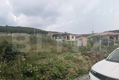 Teren construibil de vanzare, 500 mp sau 1000 mp, Dealu Jel - 3