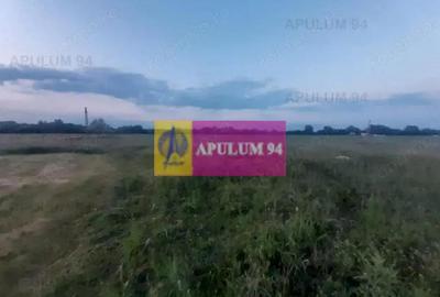 Teren de 3820 mp, în 1 Decembrie - 2