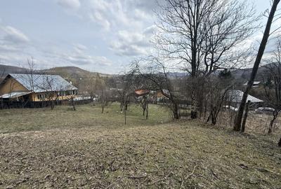 Teren Construcții intravilan de 6040 mp, în Drăgăneasa - 7