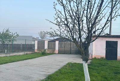 Se vinde casa in Cocani, Crevedia - 10