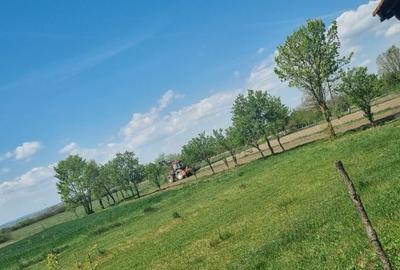 Casă cu 3 camere în Satu Nou de Jos - 8