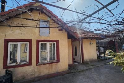 Casă individuală cu 3 camere cu Canalizare în Anda - 3