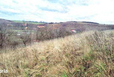 Teren de 857 mp, în Sopor - 2