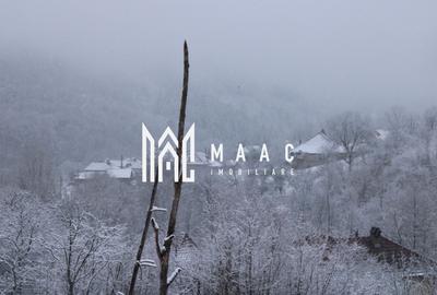 Teren Construcții intravilan de 20000 mp, în Dângești - 11