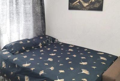 Garsoniera confort 1- zona Gradiste Garsoniera confort 1- zona Gradiste - 2