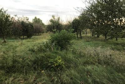 Teren de 500 mp, în Podu Iloaiei - 1