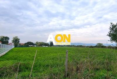 Teren Construcții intravilan de 12300 mp, în Central - 5