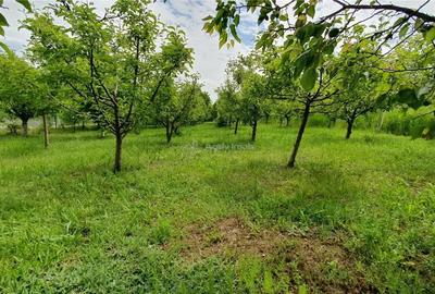 Teren de 2400 mp, în Central - 8