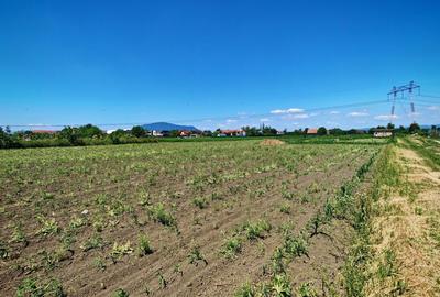 Teren intravilan in Stupini aproape de Centrul Cartierului 856 mp - 1