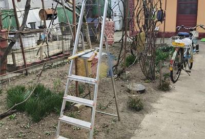 Casă cu 3 camere în Nicolae Bălcescu - 9