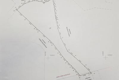 Spațiu comercial, în Coman - 14