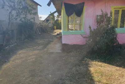 Casă cu 3 camere în Potcoava - 3