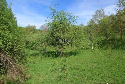 Teren intravilan si cladire in Apuseni, Blajeni, Hd - 9