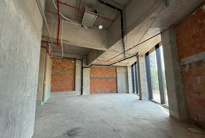 Sp. Com 124 mp 6 m inaltime, One Verdi Park - 12