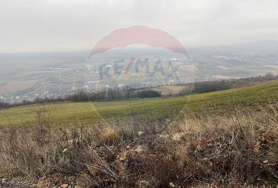 Teren agricol extravilan de 544 mp, în Pădureni (Chinteni) - 2