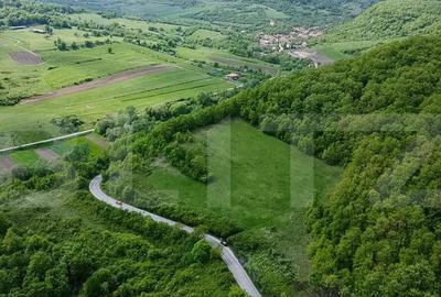 Teren superb, in mijlocul naturii, 18.360 mp, la Carji?i - 1