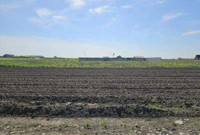 Teren de 317 mp, în Berceni - 3