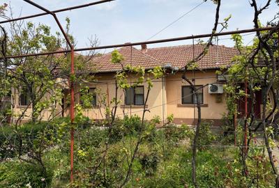 Casă cu 4 camere în Bran - 6