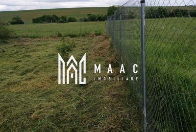 Teren Extravilan | Imprejmuit | 2216mp | Sura Mica - 2