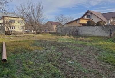 Teren Construcții intravilan de 2400 mp, în Manolache - 1