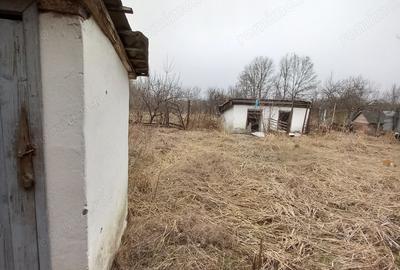 Casă cu 6 camere în Central