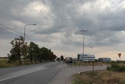 Teren de 30000 mp, în Ghiroda - 4