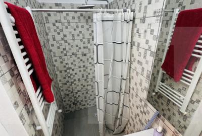 Apartament la casa, 40 mp, Andrei Saguna - 3