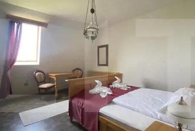 Conac de vanzare 7 camere, baie proprie, crama, ciubar ?i poten?ial - 10