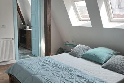 Oportunitate! Duplex de vanzare, centrul vechi, Vasile Lucaciu - 5