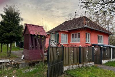 Casă cu 2 camere cu Teren 4368 Mp în Certeju de Sus - 9