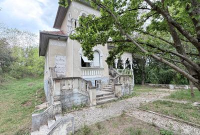 Casă individuală cu 6 camere cu Teren 10000 Mp în Caransebeș - 5
