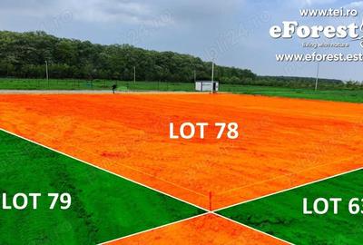 Casă cu Teren 900 Mp în Cocani - 7