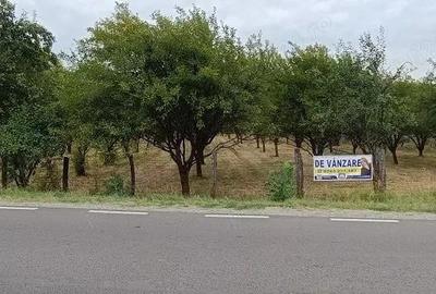 Teren 7150 mp de vanzare in Oesti Arges - 2