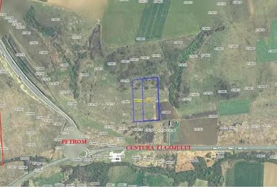 Teren extravilan LUGOJ - 1